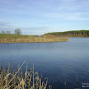dsc07452.jpg