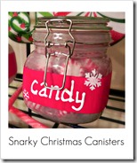 Martha Stewart paint Christmas canisters