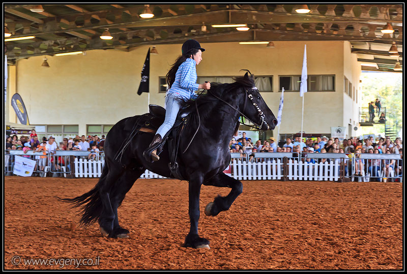 il/Фото: Stallion Show 2011 (20110416 stllion show 095 2453)