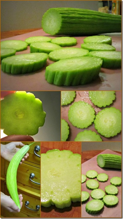 Armenian cuke collage