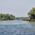 DSCN8185.JPG