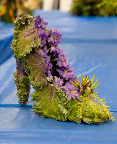 [fran-green-purple-botanical-shoe-Fra%255B2%255D.jpg]
