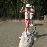 Hannah standing on an alligator at the Nashville Zoo 09032011