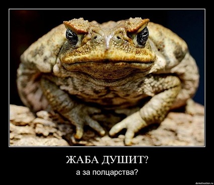 Zhaba_dushit