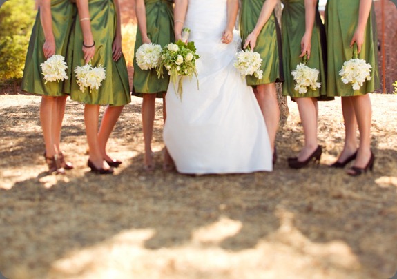 MLP_6184-1024x694 panacea flowers MLP_6184-1024x694 panacea flowers