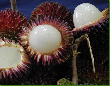 Pulasan 5 Pulasan 5