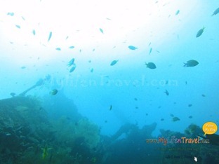 Diving Amed Bali 32 Diving Amed Bali 32
