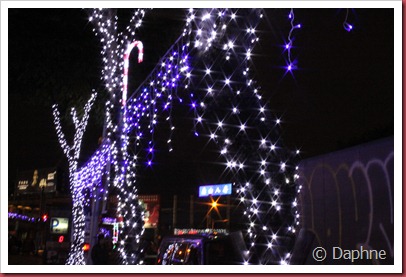 IMG_4422 IMG_4422