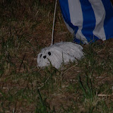 camp2007-008.jpg
