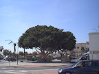Puerto del Rosario