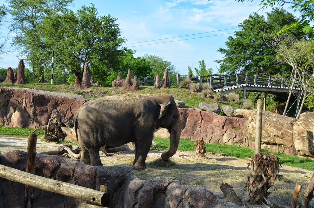 [DSC_8674%255B3%255D.jpg]