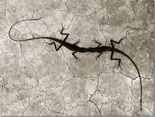 [clip_image029%255B3%255D.jpg]