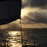 Viento