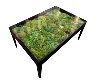 table basse eden design