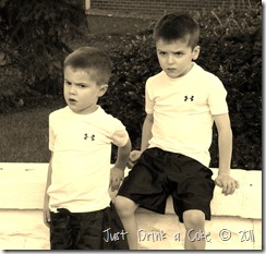 IMG_8800 IMG_8800