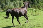 augusti 2010