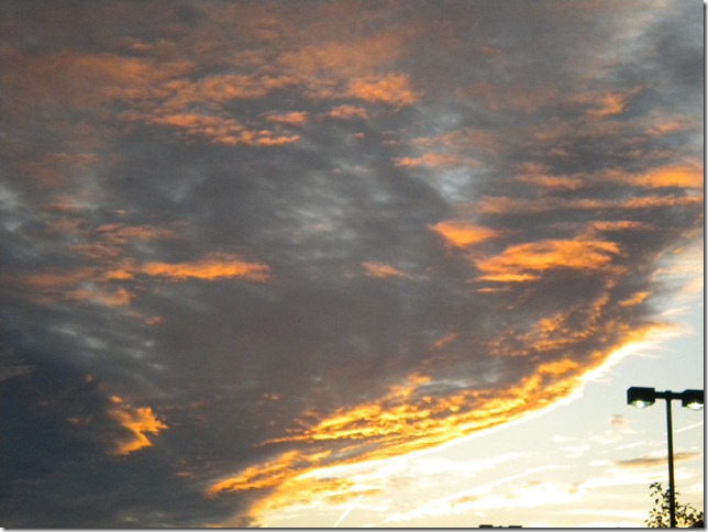 DSCN5838