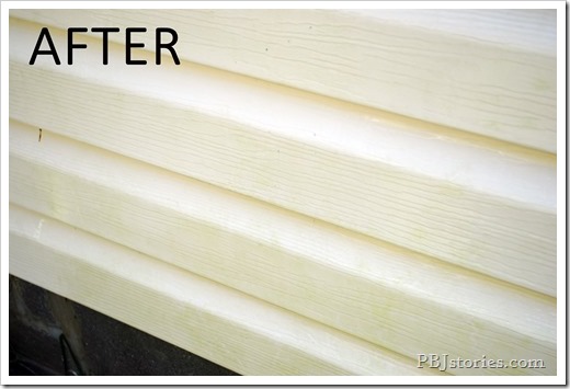 After Mr Clean Outdoor Pro2 After Mr Clean Outdoor Pro2