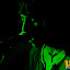 coldrockfest-9156502.jpg