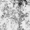 VoicesFromTheLake_LP VoicesFromTheLake_LP