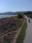 Peach ponders the changing seasons in Sausalito... and when she will get a treat.