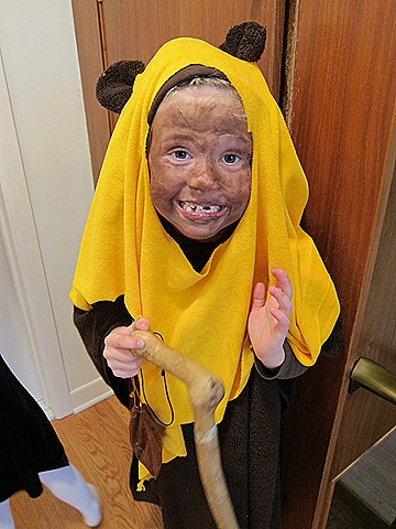 IMG_1233 IMG_1233