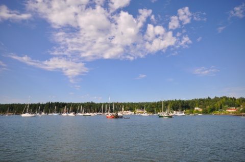 DSC_0093.jpg DSC 0093