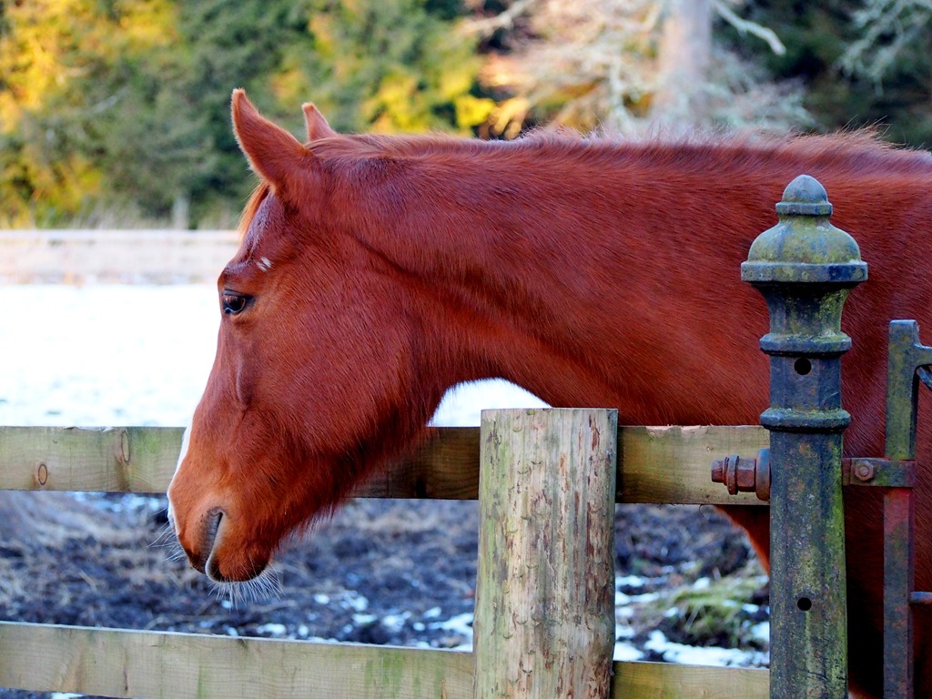 [6%2520Feb%252012-001%255B3%255D.jpg]