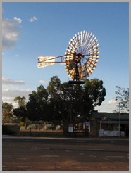 IMG_3498 IMG_3498