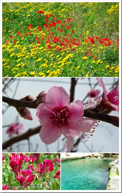 April1-001 April1-001
