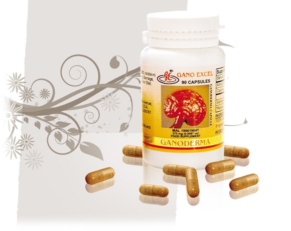 ganoderma 90 ganoderma 90