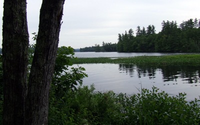 [DSCF78504.jpg]