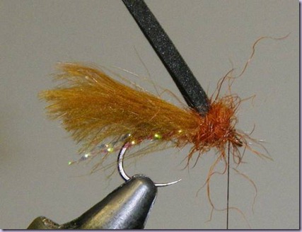 clip_image024 clip_image024