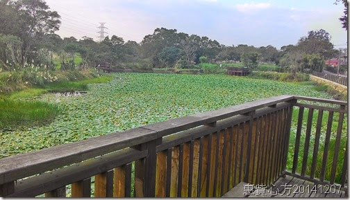 P_20141207_160836_HDR P_20141207_160836_HDR