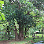 IMG_2000.JPG