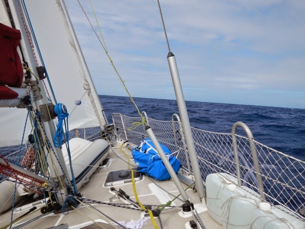 DSCN3916.JPG DSCN3916