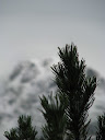 IMG_1490.jpg