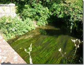 aqueduct slough arm