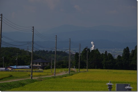 IMGP9600 IMGP9600