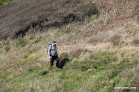 IMG_7952.JPG Photo