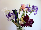 Oct 21 - Mixed Irises