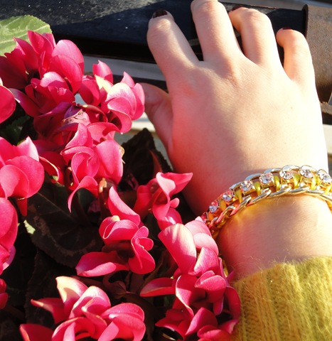 [DSC00514%255B6%255D.jpg]