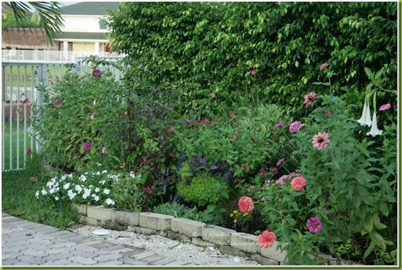 2011-08-31_00033