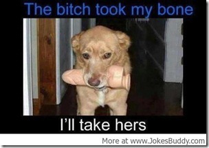 bitch_took_my_bone