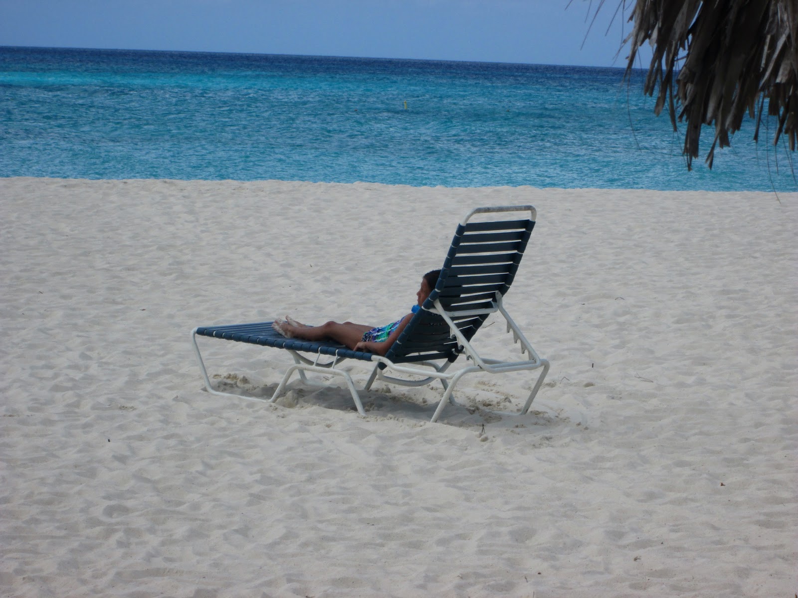 [IMG_0200e%255B1%255D.jpg]