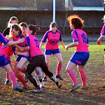 DSC_8950a.jpg