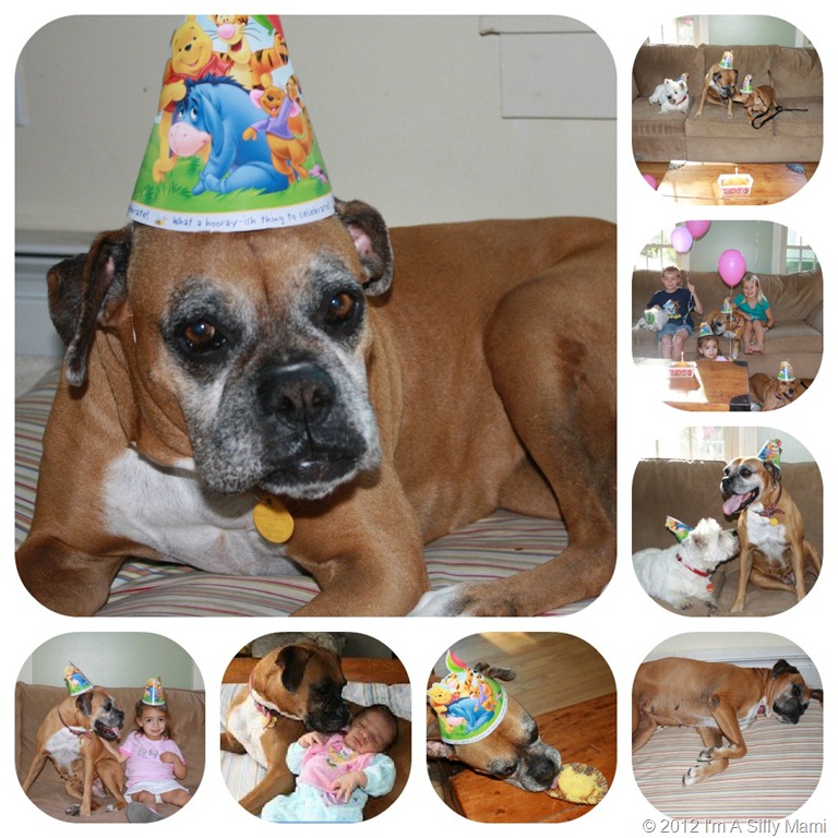 [Chanty%2527s%2520Bday%2520Collage%255B19%255D.jpg]