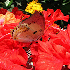 IMG_2584.JPG