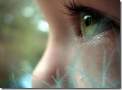 images1 images1