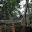 Cambodge- Angkor